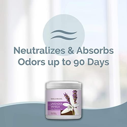 SMELLS BEGONE Odor Absorber Gel - 15 Ounce