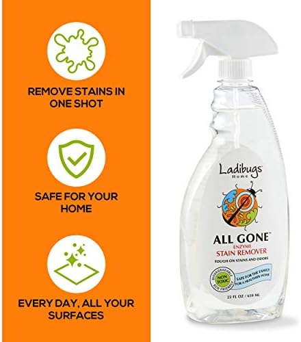 LADIBUGS Natural Enzyme Stain Remover Spray 22oz