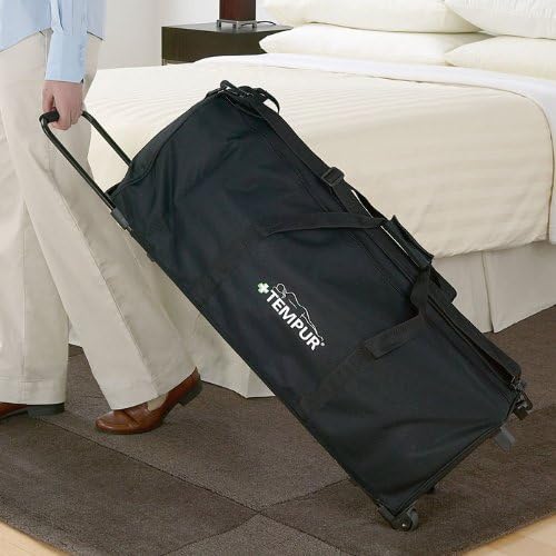 Tempur-Pedic Travel Sleep Set with Pillow Overlay and Bag
